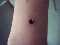 /album/piercing/a100-3871-jpg/