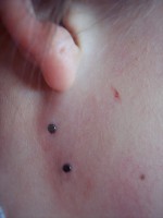 /album/piercing/a100-5016-jpg/