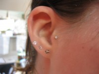 /album/piercing/img-0019-jpg/